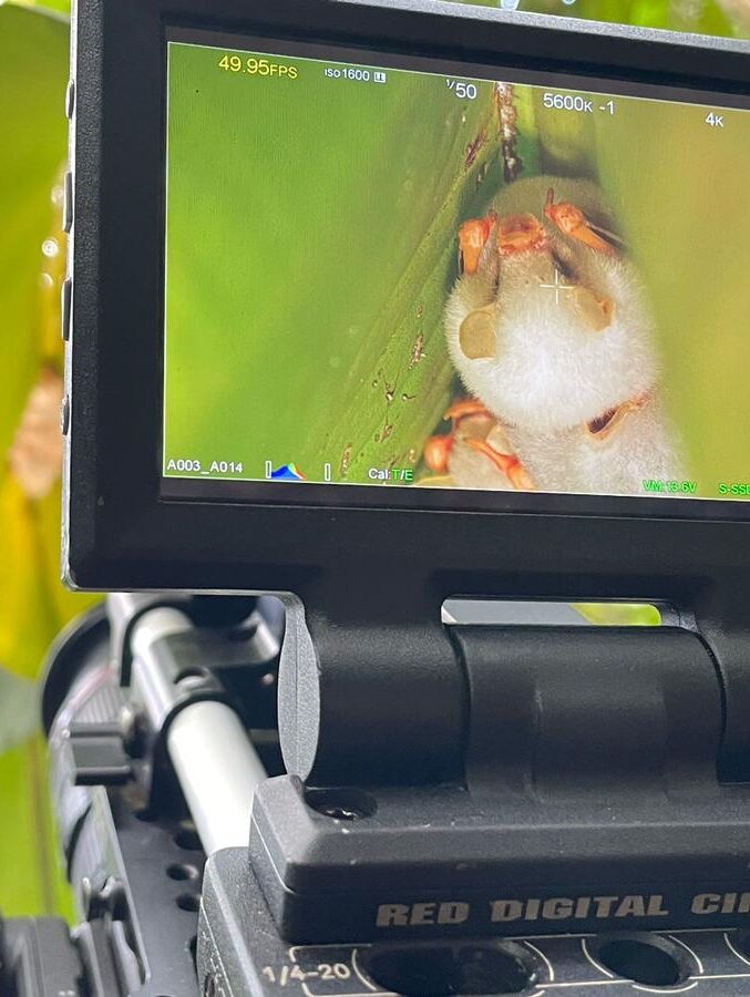 WhatsApp Image 2025-01-08 at 16.39.44