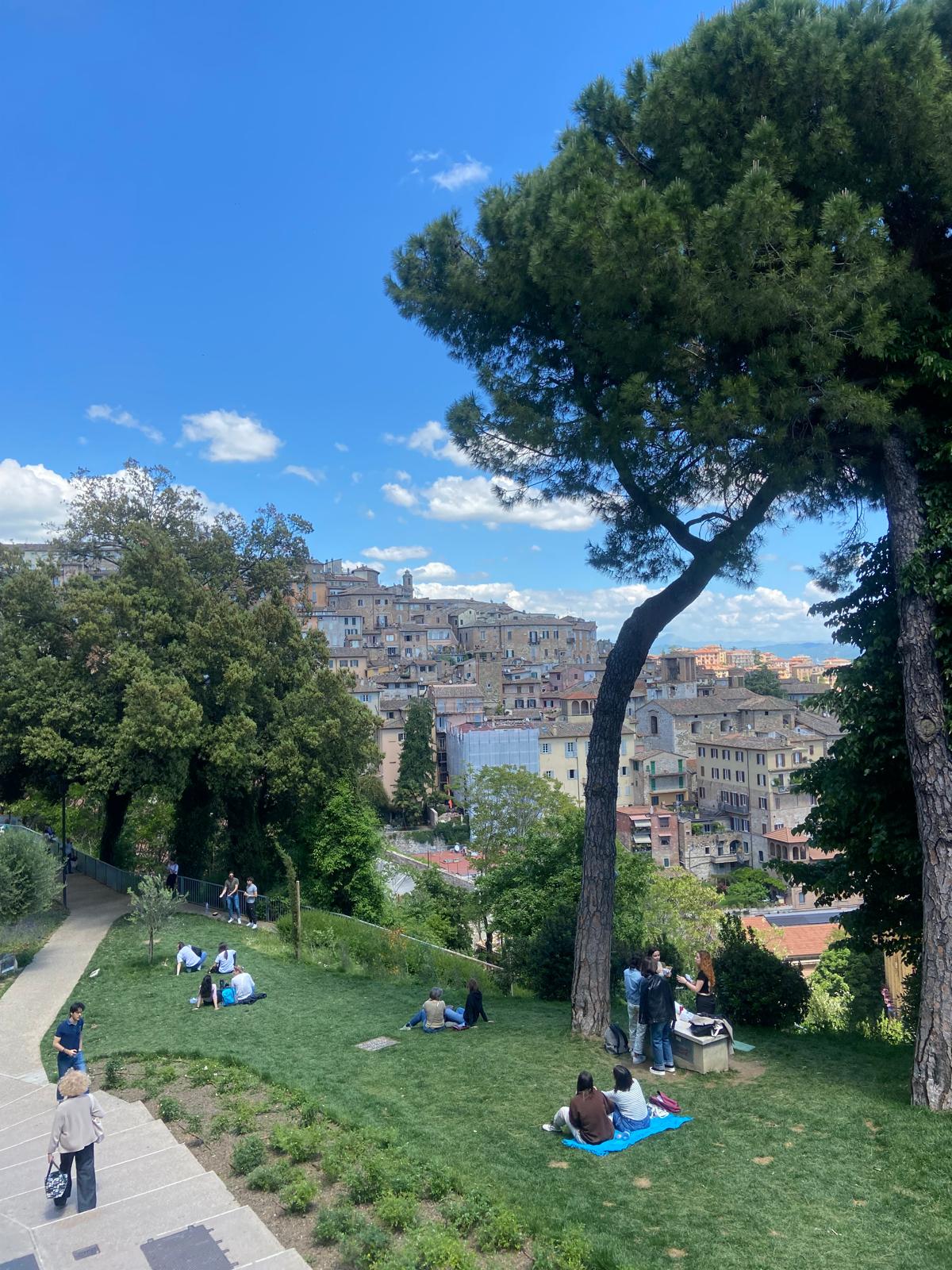 WhatsApp Image 2025-01-09 at 19.14.34