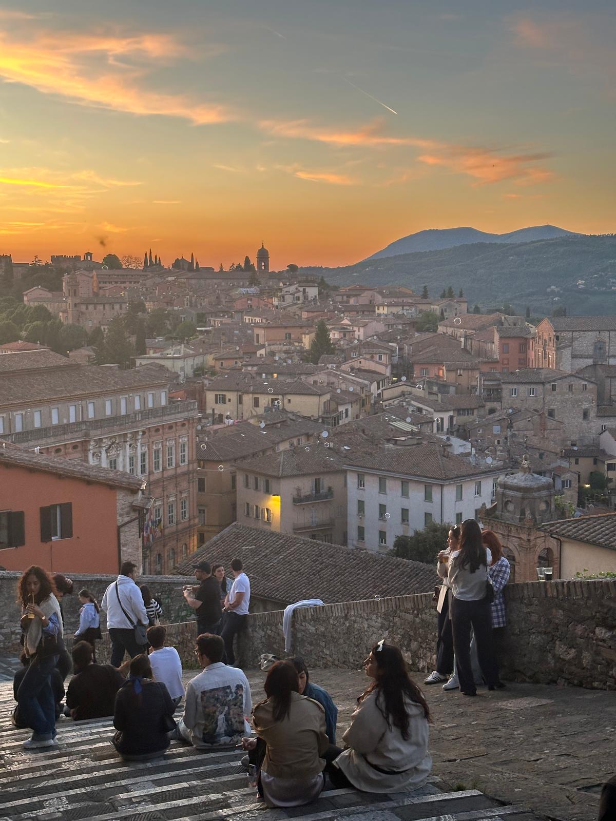 WhatsApp Image 2025-01-09 at 19.18.50